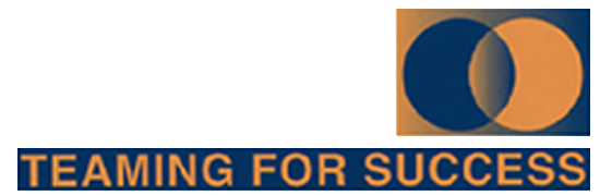 Team Arti New